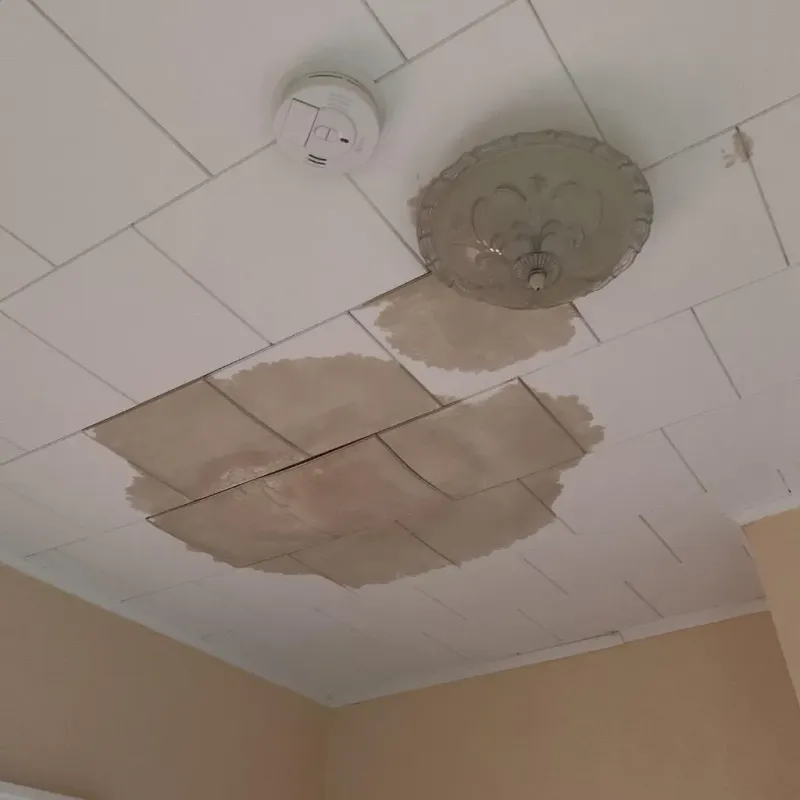 Ceiling Water Damage Repair in Chester, NY