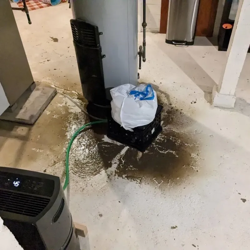 Sewage Backup Cleanup Service in Chester, NY